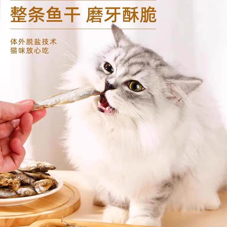 猫咪冻干零食多春鱼满籽小鱼干酥脆磨牙富含鱼油增肥发腮营养零食,淘宝优惠券,粉丝福利购,淘宝优惠卷