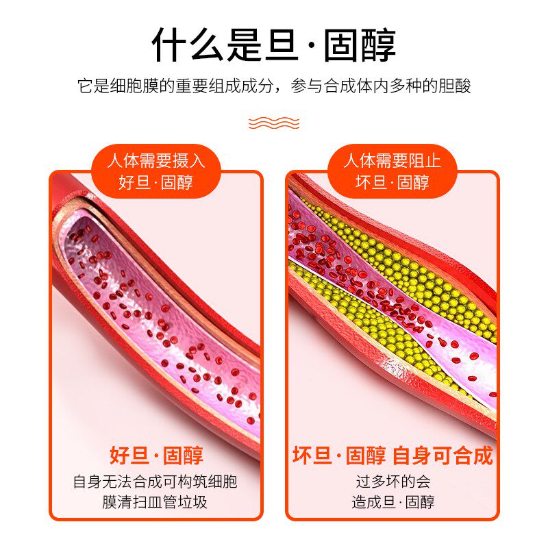 美国黄花草油酸月麻亚酸血脂胆固醇 LifeExtensionWestline海外卵磷脂