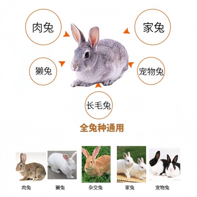 Nutritious rabbit food rabbit feed small adult female rabbit food