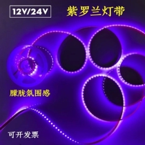 12V Violet light with dark purple pink Purple Light Outdoor Waterproof Mystic Grape Violet Atmosphere 24V Soft Light strips Violet