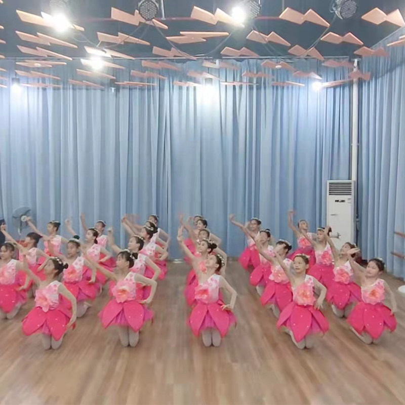 莞邑玉兰香儿童民族服装女舞蹈服 袖茗民族服装/舞台装