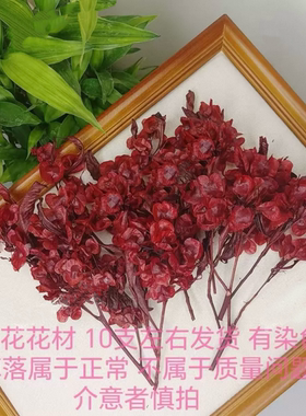 新娘永生花迎客豆新中式新娘头饰