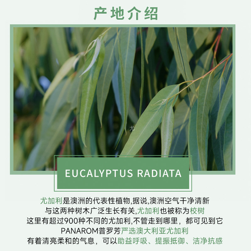 pranarom普罗芳净化空气舒缓精油 Pranarom海外单方精油