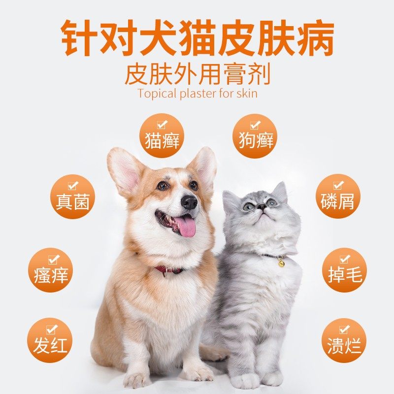 猫癣外用药狗狗皮肤病猫藓专用药膏复方酮康唑软膏宠物治疗真菌药,淘宝优惠券,粉丝福利购,淘宝优惠卷