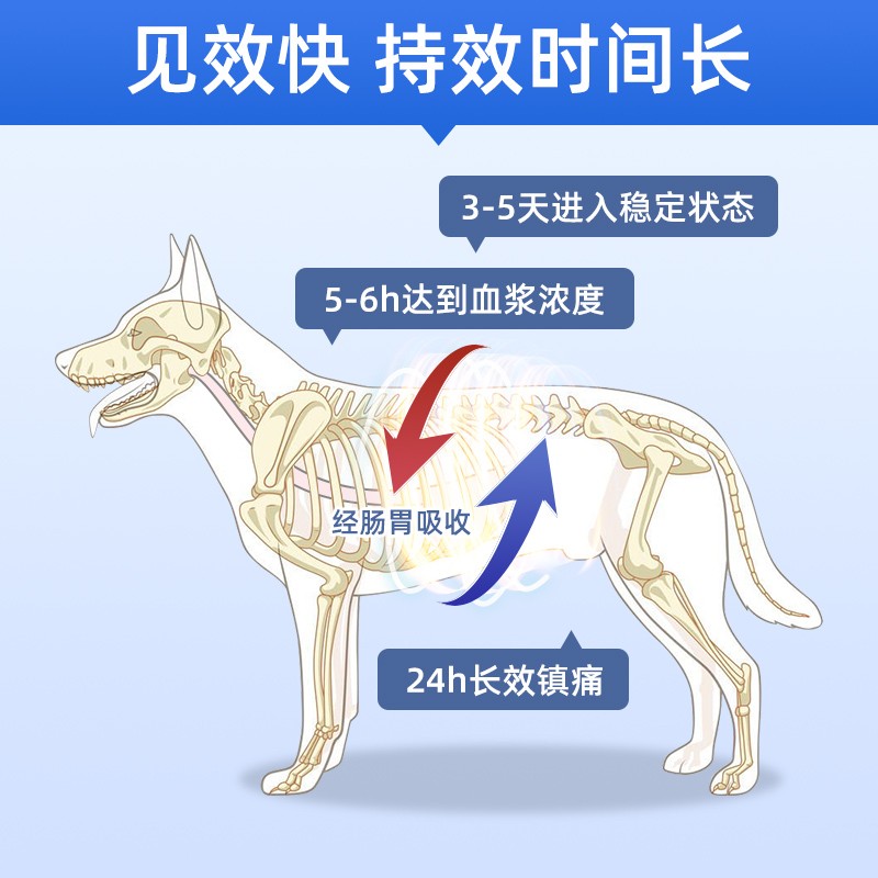 美洛昔康片宠物止疼药狗狗猫咪止痛药关节消炎止疼片猫狗用芬美洛