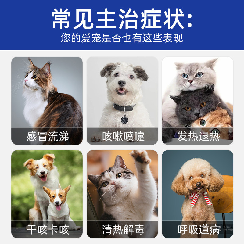 宠物双黄连片犬猫咪狗狗用感冒咳嗽退烧猫鼻支专用药打喷嚏流鼻涕,淘宝优惠券,粉丝福利购,淘宝优惠卷