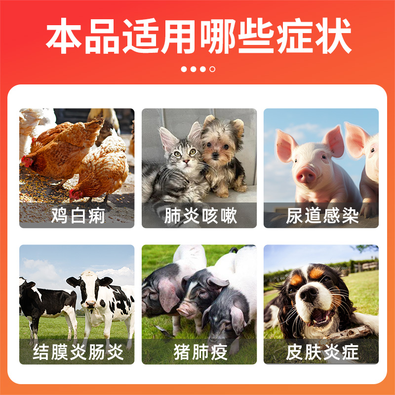 阿莫西林片宠物猫咪狗狗专用消炎药感冒流鼻涕猫鼻支速愈合诺兽用