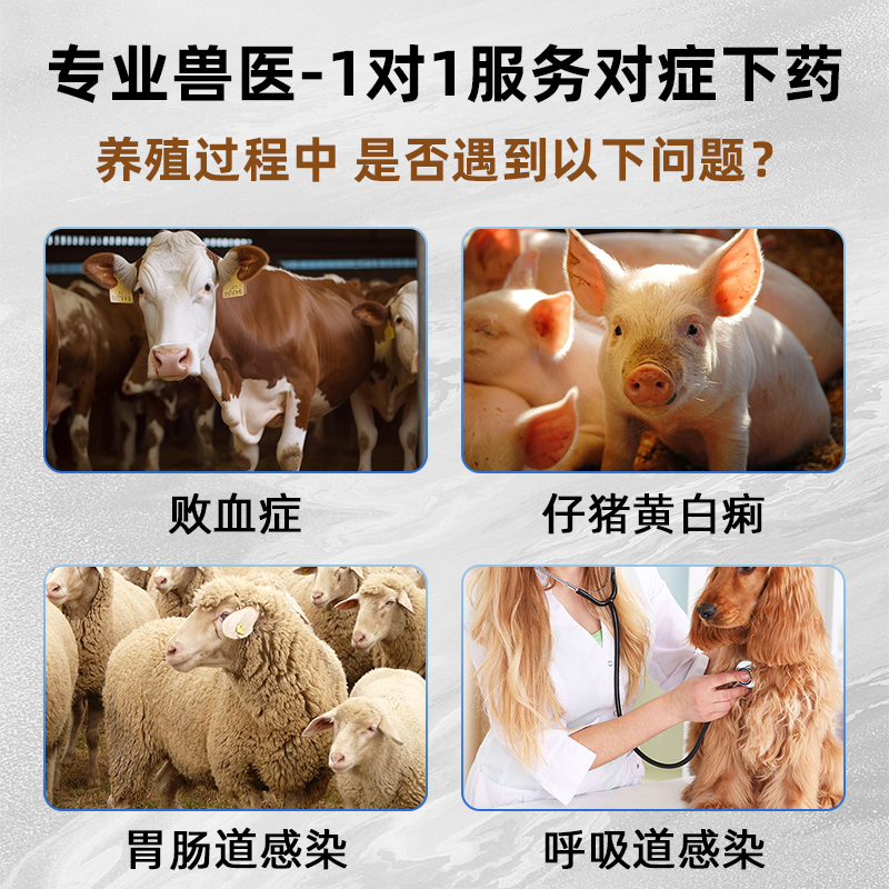 硫酸庆大霉素注射用液兽用宠物猫咪狗狗鱼用乌龟庆大霉素针剂口服 - 图1