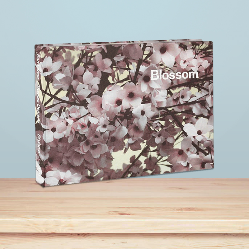 【现货】Blossom繁花 艺术家Thomas Demand+作家Ben Lerner摄影集画册 英文原版进口图书 MACK出版 - 图0