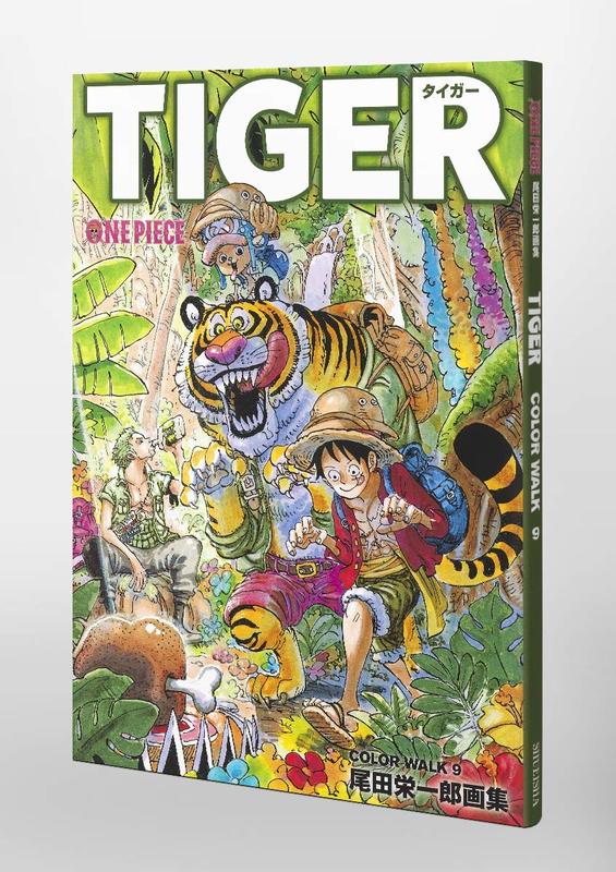 【预售】海贼王 插画集9 ONEPIECEイラスト集 COLORWALK 9 TIGER 原版日文动画原画设定集 日本正版进口图书 - 图0