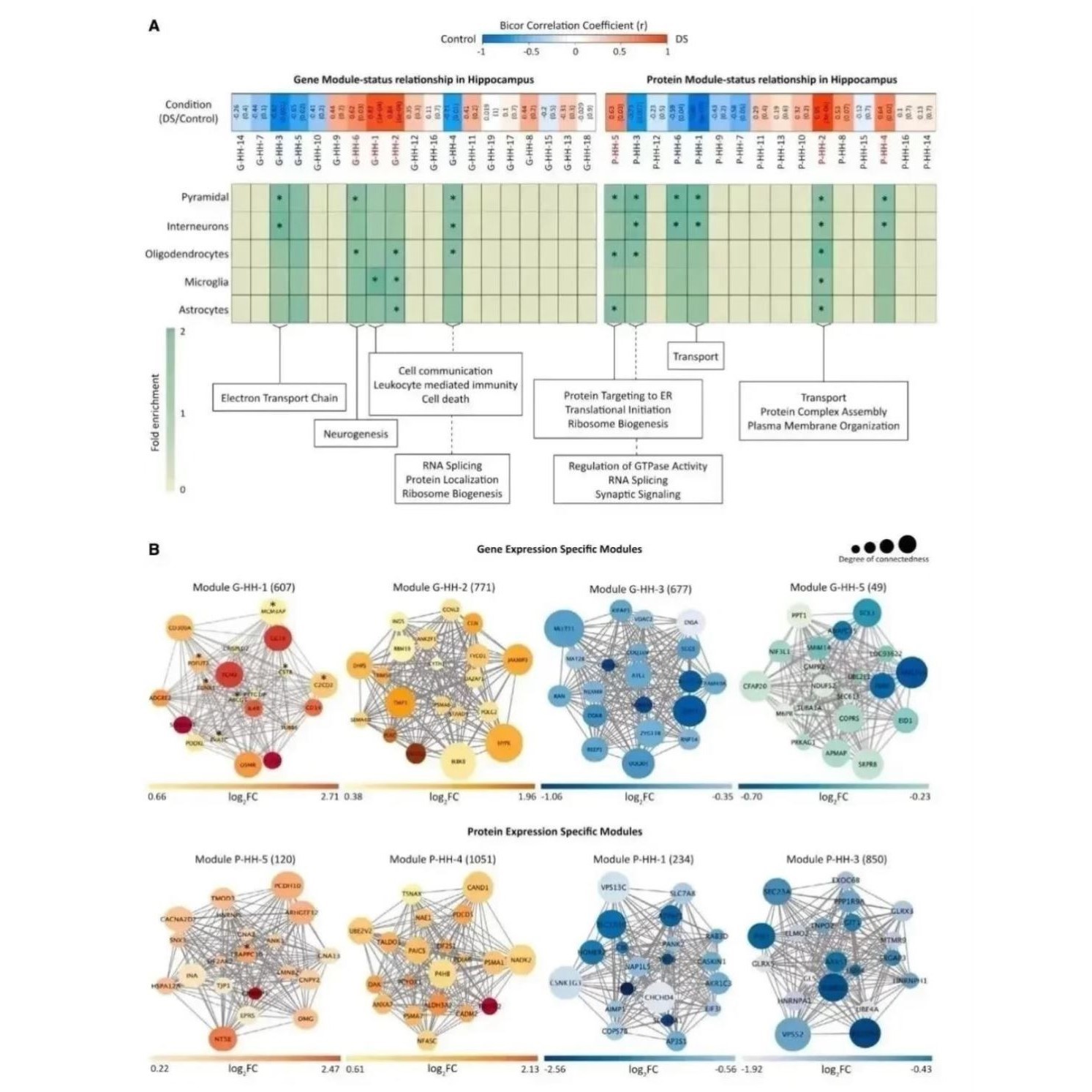 公共数据库深度挖掘生信分析一对一指导服务 - 图0