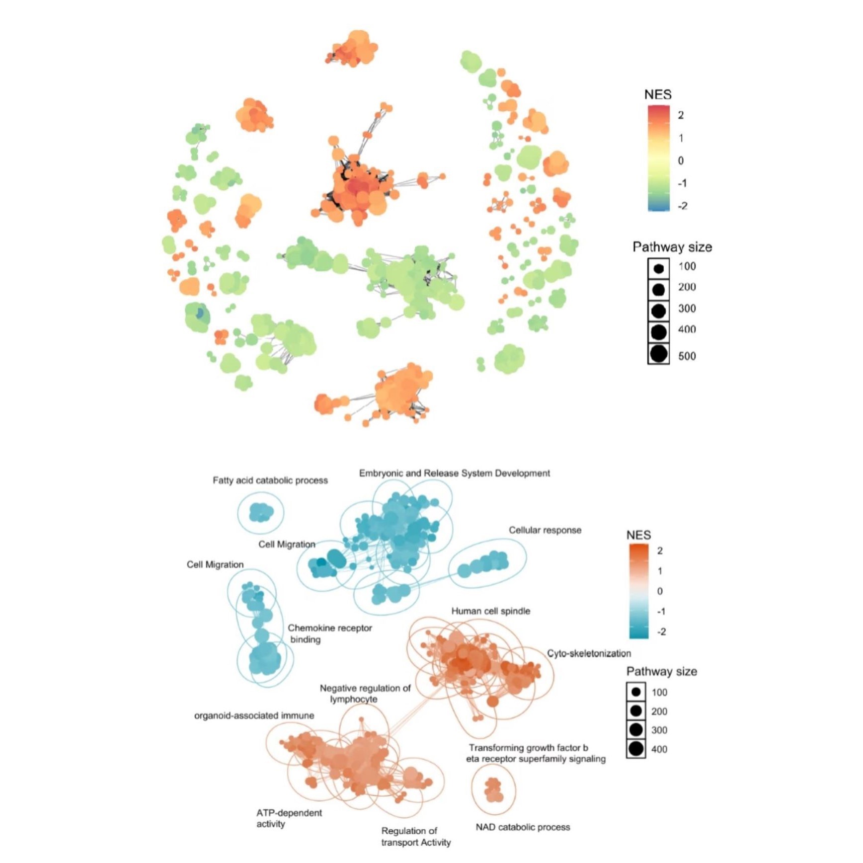 公共数据库深度挖掘生信分析一对一指导服务 - 图1
