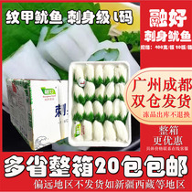 Melt-up Sashimi Grade L. D squid Squid Frozen Ink Fillet Seafood Aquatic Sushi Cuisine Ingredients Commercial Squid