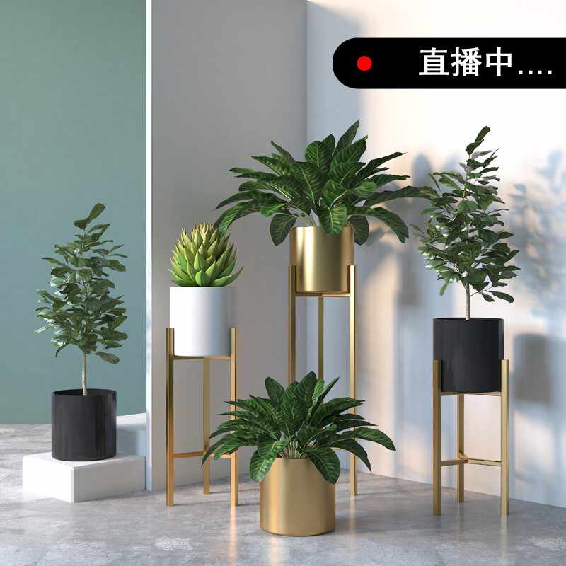 金色铁艺花盆 新人首单立减十元 21年9月 淘宝海外