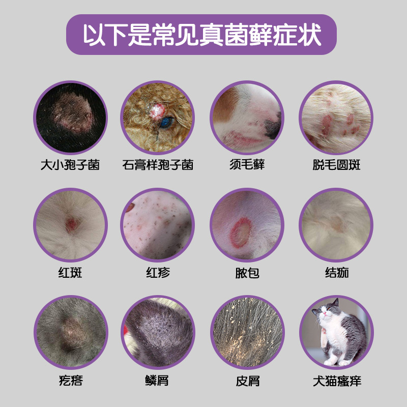 瑞沃特真菌消喷剂狗藓猫藓外用药宠物皮肤病专用药进口pilz喷雾剂-图1