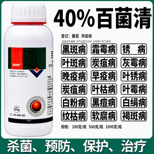 40%百菌清果树蔬菜杀菌剂早疫病白粉病炭疽病灰斑叶斑病霜霉病 - 图0