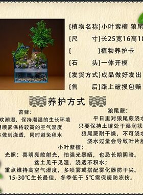 办公室流水造景摆件鱼缸
