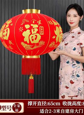 春节大红灯笼结婚乔迁阳