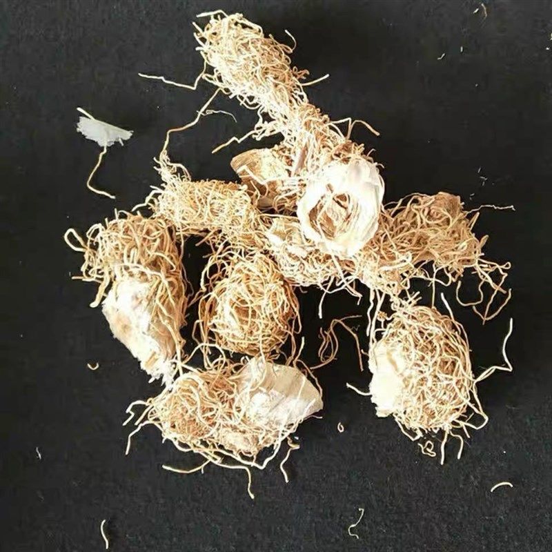 大葱根中药c材 /天然纯 葱根 /大葱根须/ 新鲜干货中草药/ 葱根须,淘宝优惠券,粉丝福利购,淘宝优惠卷