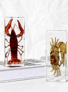 滴胶树脂标本摆件装饰摆件