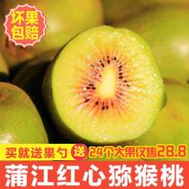 Pujiang Red Heart Chic Exotic Fruits Supersweet Should Season Fruit 30 Grain Fresh Macaque August Shipping