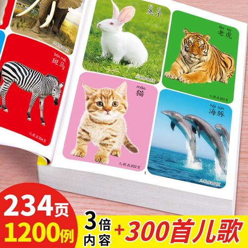 认物大全儿童早教书启蒙认知书宝宝看图识字认物卡片婴幼儿童书籍 - 图0