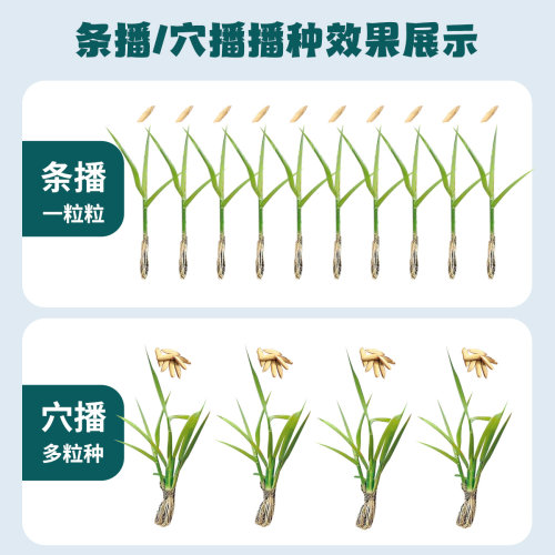 新款水稻播种机油菜籽直播机多功能点播机穴播机粒数可调插秧机 - 图0