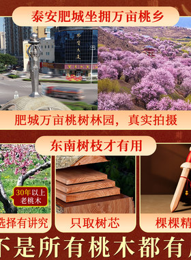 桃木剑婴儿真品正宗随身小挂件真正的桃木挂件儿童宝宝官方旗舰店