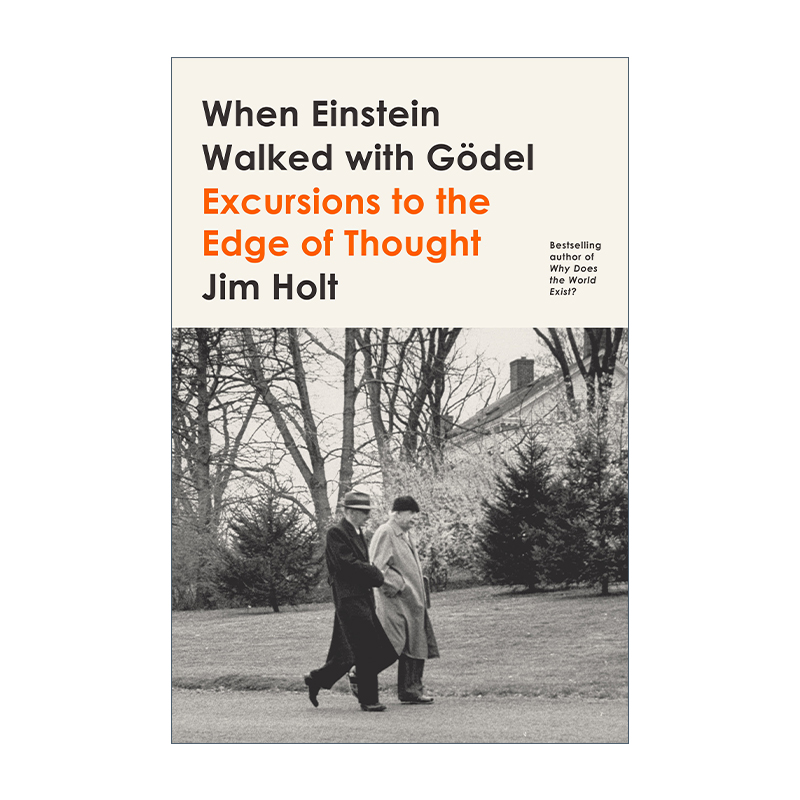 英文原版 When Einstein Walked with Godel Excursions to the Edge of Thought 当爱因斯坦与哥德尔同行 英文版 进口英语原版书 - 图0