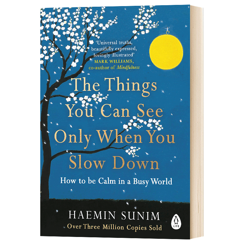 英文原版 The Things You Can See Only When You Slow Down 慢下来才能看见的东西 英文版外文小说