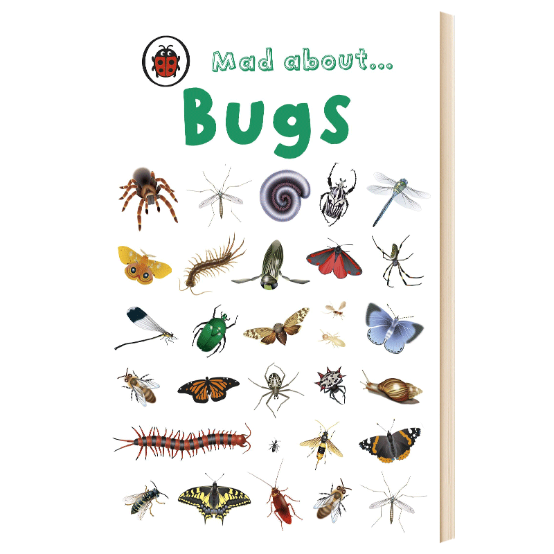 洞穴昆虫动物科普幼儿启蒙学习英文原版精装绘本 Mad About Bugs Mad about系列英文版进口英语原版书籍儿童外文书_虎窝淘