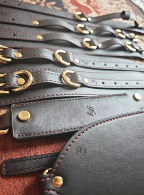 项圈等15件皮革套装 赠送收纳包 可刻字定制