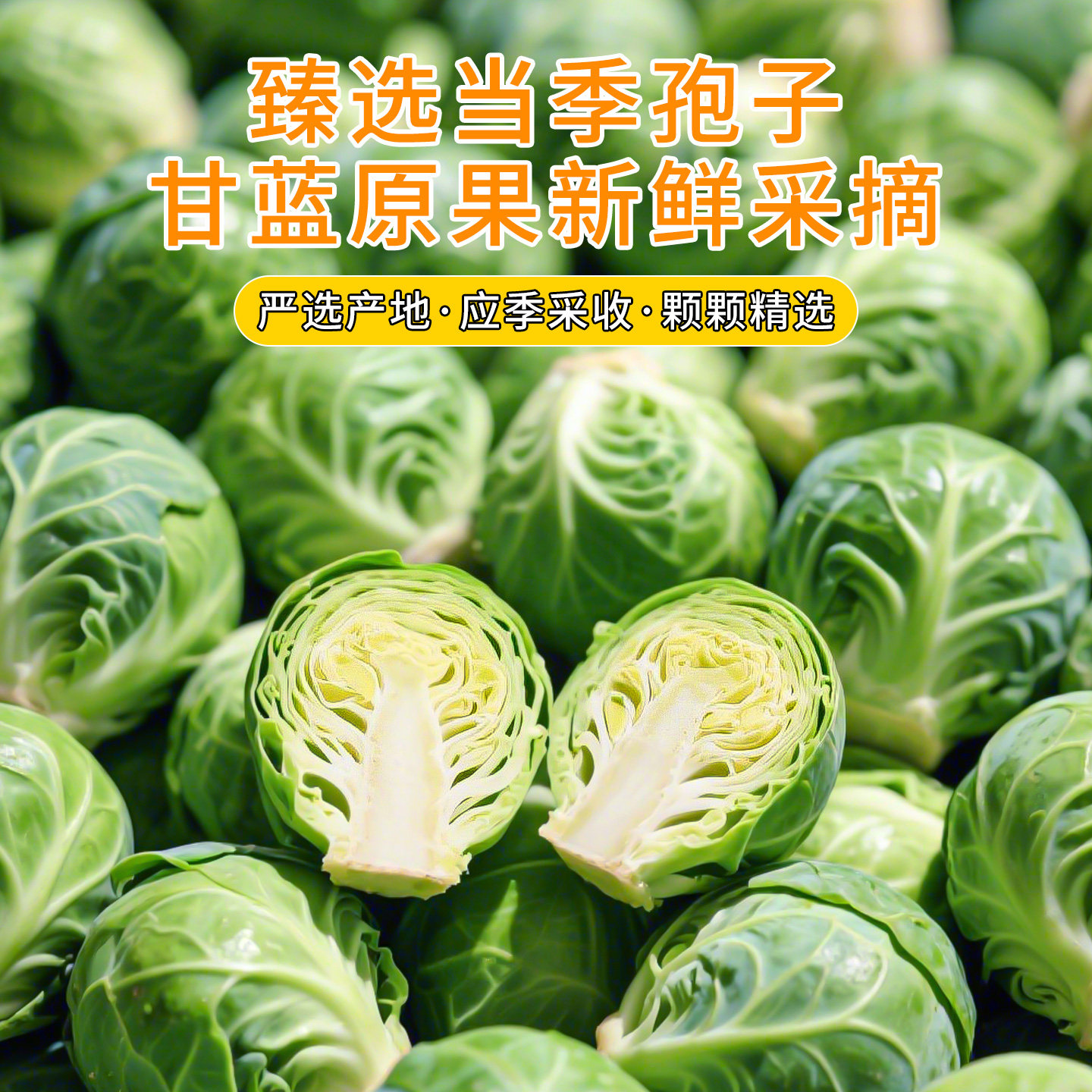 冻干孢子甘蓝狗零食果蔬菜包菜大小型犬磨牙宠物狗狗训练奖励零食,淘宝优惠券,粉丝福利购,淘宝优惠卷