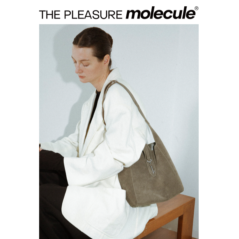 the pleasure molecule新品钥匙hobo包22松弛老钱单肩斜挎 - 图0