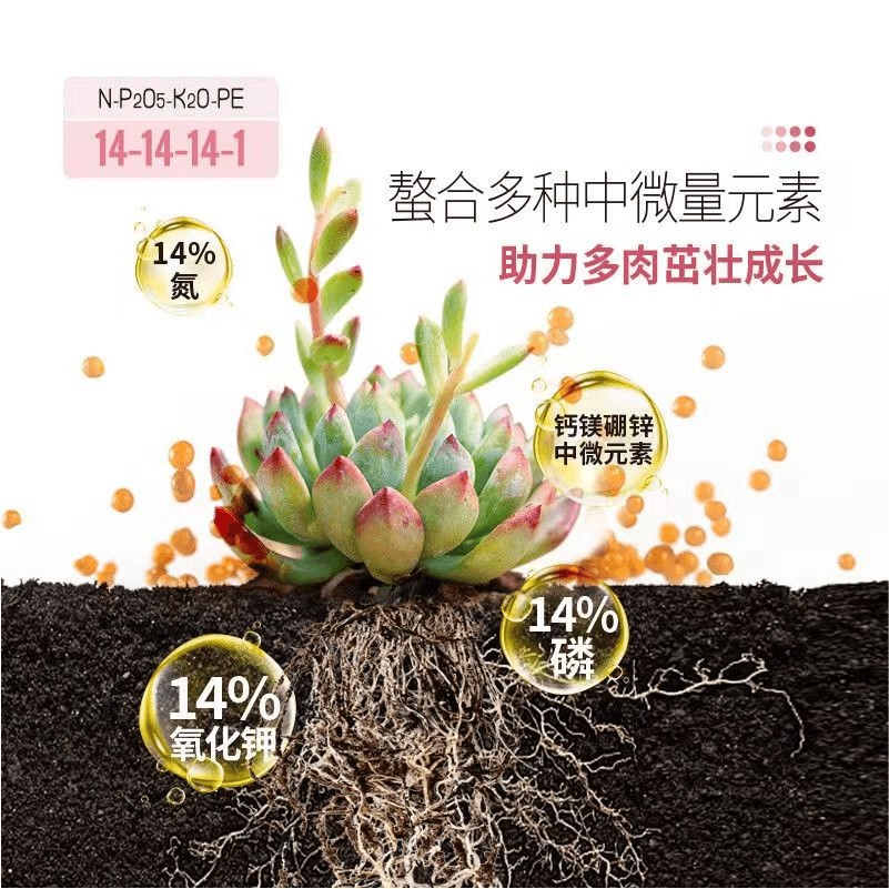 多肉控释肥爆盆增肥增色盆栽通用型多肉肥料专用肥颗粒缓释肥长效 - 图2