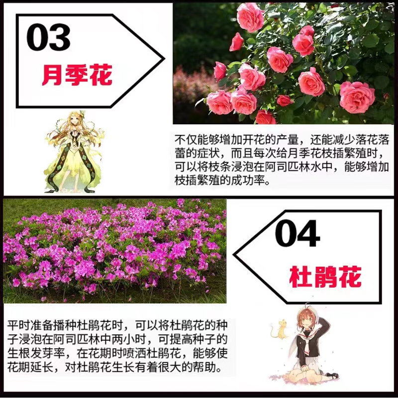 阿司匹林养花用粉花卉养殖片粉阿斯匹林乙酰水杨酸包邮 - 图0