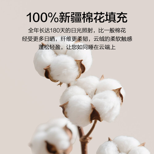 新疆棉花被子空调被夏凉被芯春秋冬被四季通用薄双人宿舍单人学生 - 图1