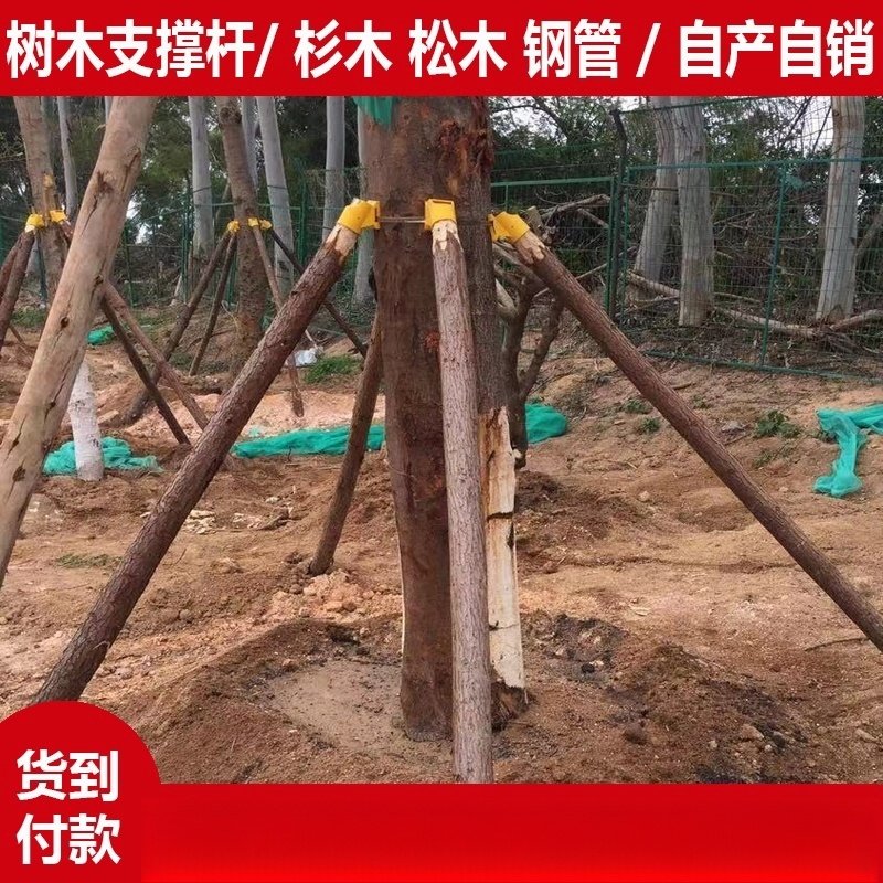 树木支撑杆苗木杉木杨木松木三四脚架固定架套杯支撑架绿化防风,淘宝优惠券,粉丝福利购,淘宝优惠卷