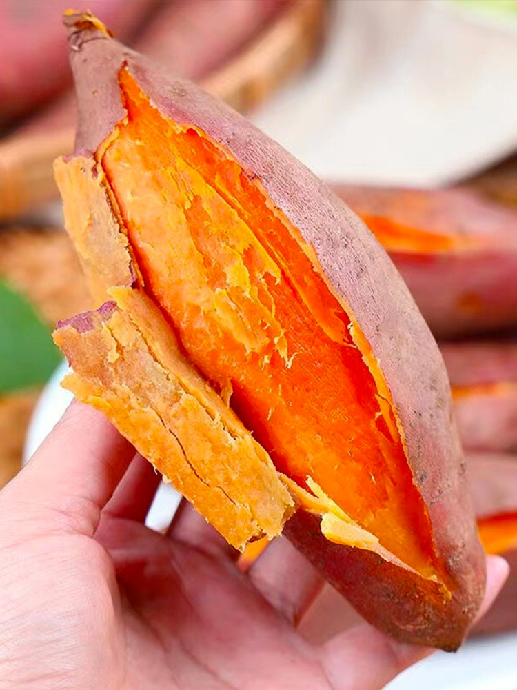 西瓜红9斤板栗糖心蜜薯香薯番薯 喜思农场番薯