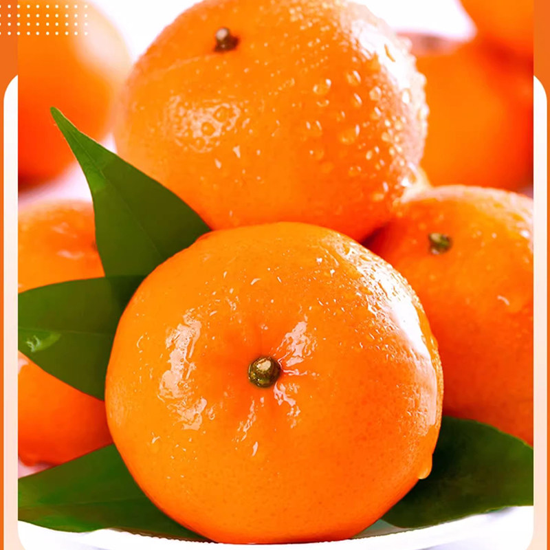 广西武鸣沃柑当季新鲜水果橘子一级沙糖蜜橘砂糖柑橘大果10斤整箱,淘宝优惠券,粉丝福利购,淘宝优惠卷