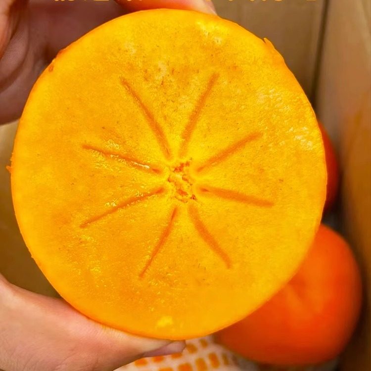 巧克力脆柿子9斤装新鲜水果当季黄甜硬柿子火晶特产整箱牛心柿子,淘宝优惠券,粉丝福利购,淘宝优惠卷