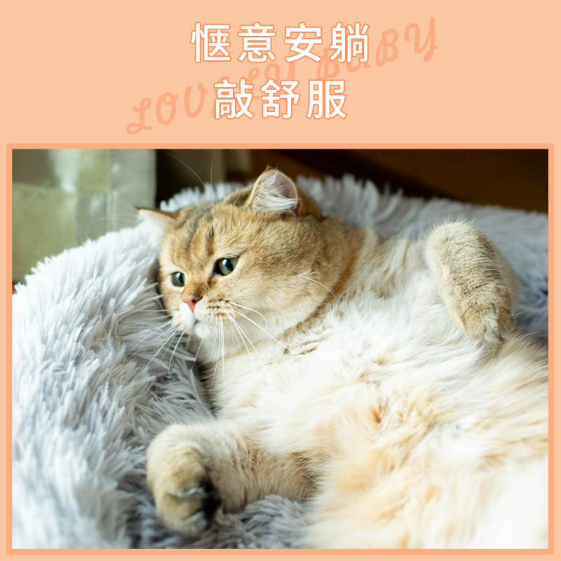 派派猫猫垫子睡觉用猫咪睡垫冬季保暖猫窝狗窝宠物床地垫狗狗垫子-图1