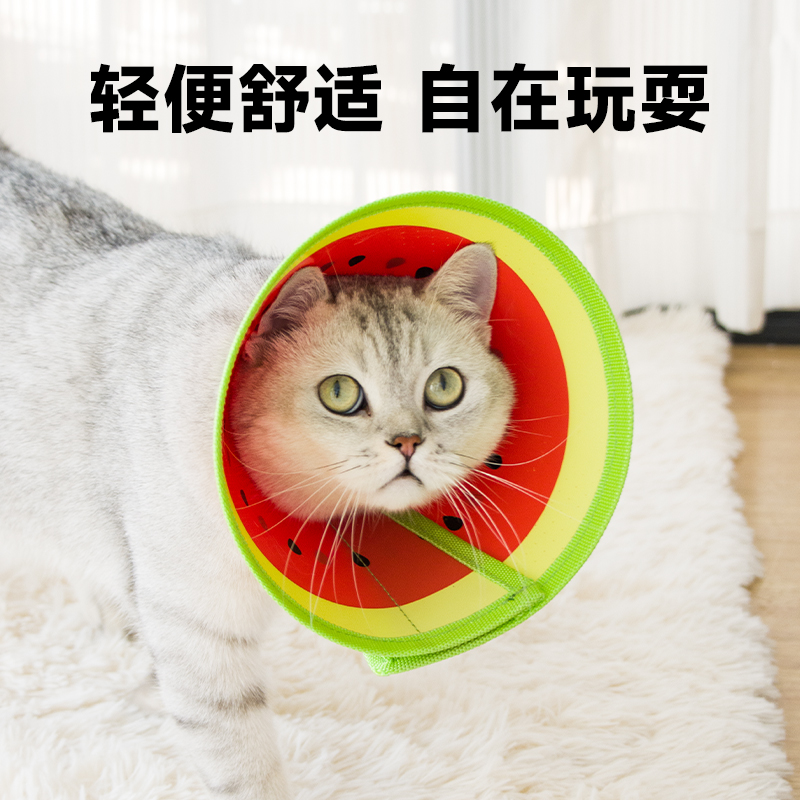 派派猫伊丽莎白圈猫绝育项圈防舔PU柔软脖圈颈圈头套狗狗宠物用品 - 图2