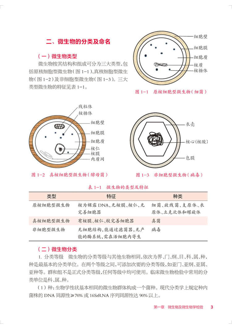 现货正版 赠增值服务 2023新版人卫版中职中专检验医学专业 微生物检验技术 第4版 崔艳丽 人民卫生出版社9787117343879 - 图3