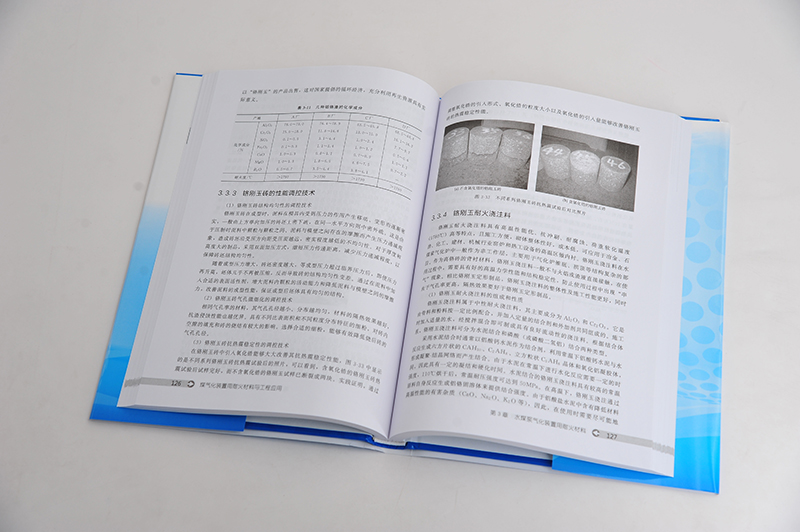 正版现货 煤气化装置用耐火材料与工程应用 1化学工业出版社 李红霞  等  编著 - 图1