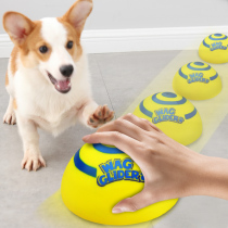 Dogs toy sounding flying disc sliding outdoor interactive hip hop fou dogfight dog antidoter skeet resistant to bite and not easy to rot