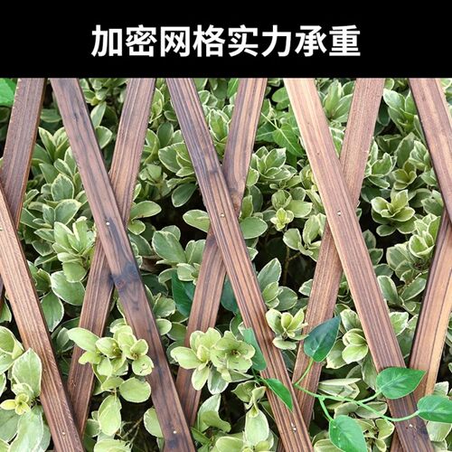 户外防腐木栅栏伸缩实木篱笆爬藤架花园围栏护栏墙面装饰网格花架 - 图2