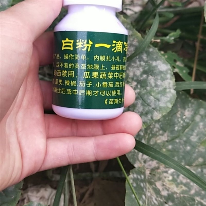 新品白粉一滴持l,加净效期长,瓜果蔬菜中期后放心使用 - 图1