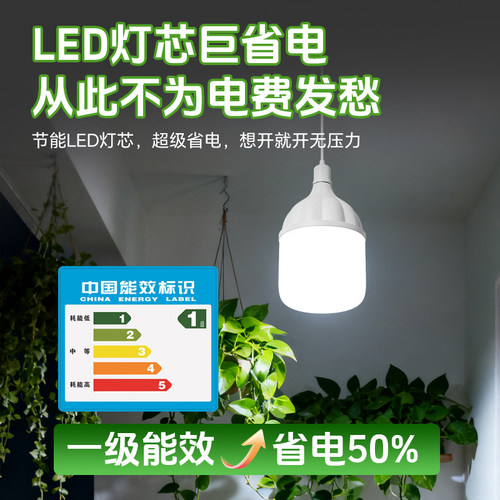 全光谱植物补光灯带线灯泡室内太阳光LED生长灯多肉绿植专用灯泡 - 图2