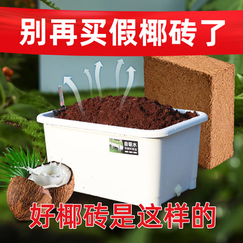 大块椰砖营养土通用型养花阳台种菜脱盐种植椰壳土壤耶砖椰糠批发 - 图1